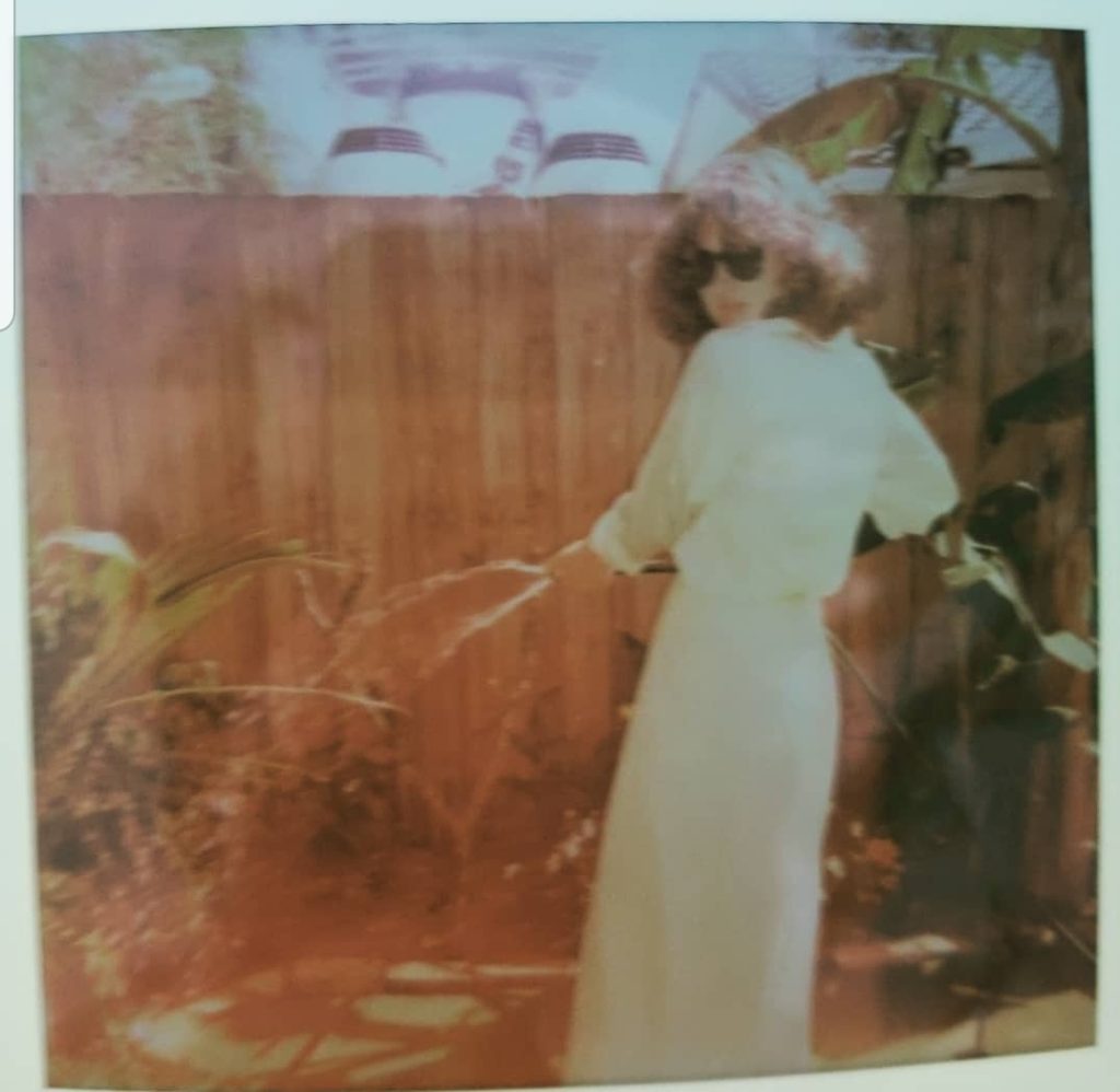 Bridget Leen & The Houseplants