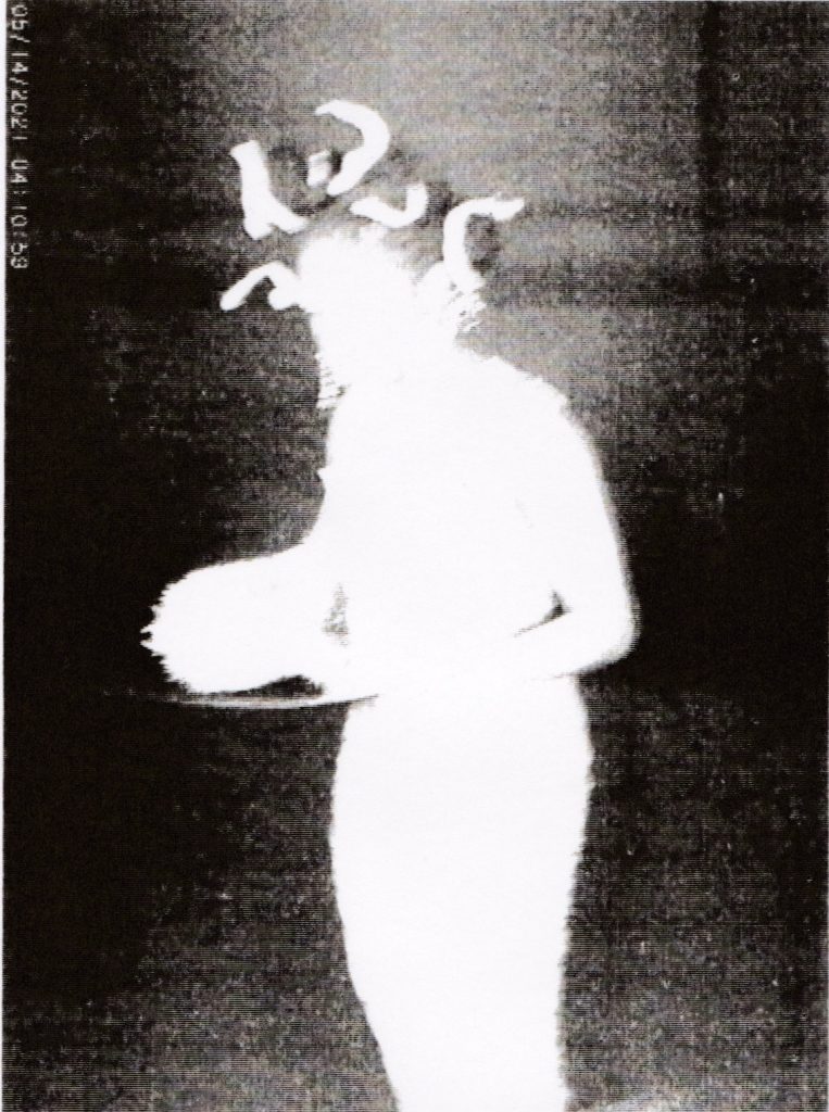 Stemlines