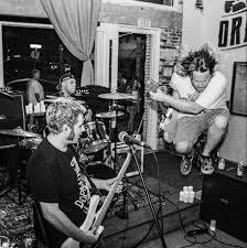 THE LOT LIZARDS